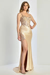 Prom Dresses Fitted Prom Long Corset Glitter Applique Formal Dress Champagne