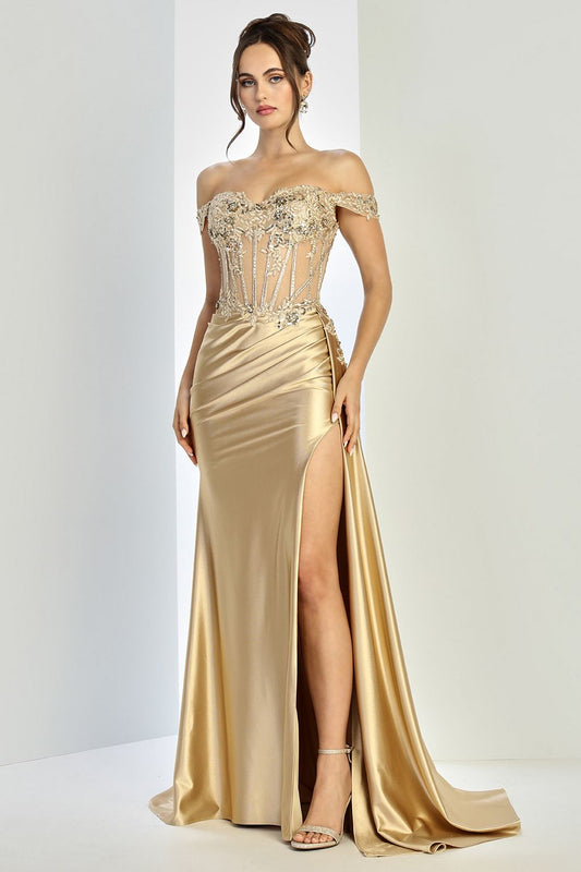 Prom Dresses Fitted Prom Long Formal Applique Corset Dress Champagne