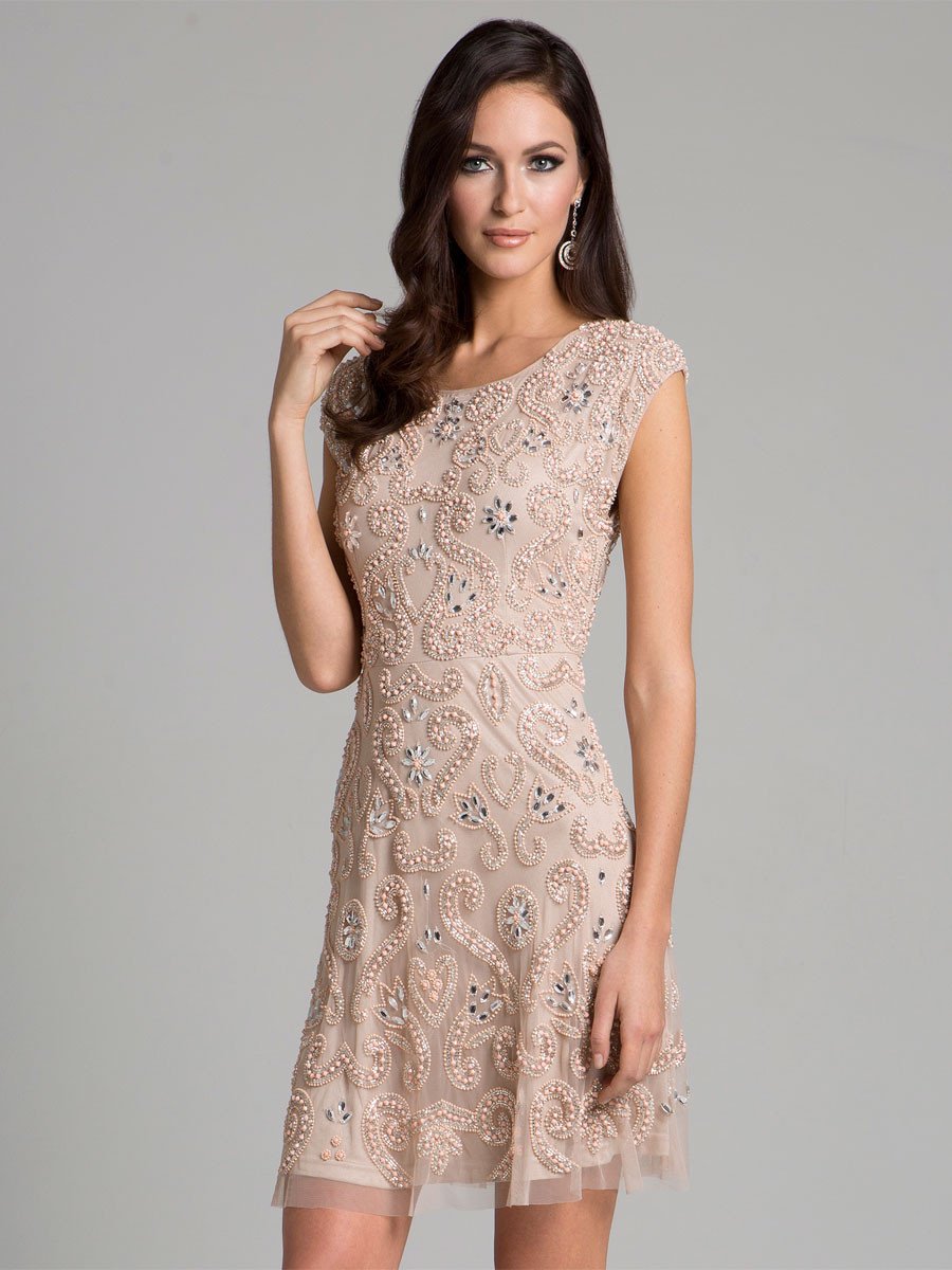 Cocktail Dresses Short Lace Mini Cocktal Dress Blush