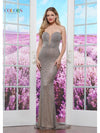 Prom Dresses Fitted Flare Long Formal Prom Dress Platinum