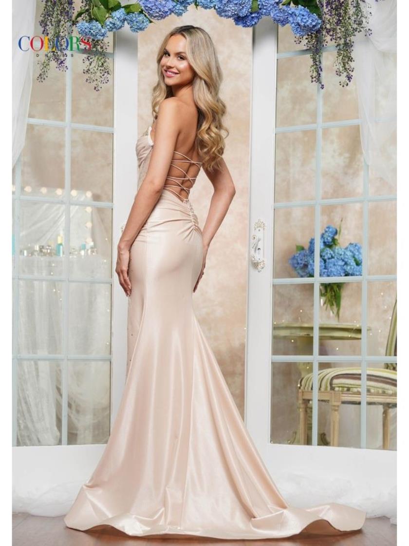 Prom Dresses Long Formal Glitter Mesh Prom Dress Champagne