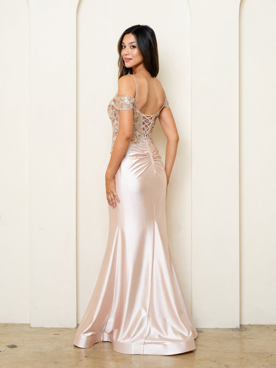 Prom Dresses Long Formal Fitted Sequin Prom Dress Champagne