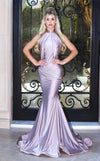 Prom Dresses Fitted Long Formal Pleated Prom Dress  Lilac