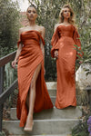 Plus Size Dresses Long Off Shoulder Satin Formal Gown Sienna