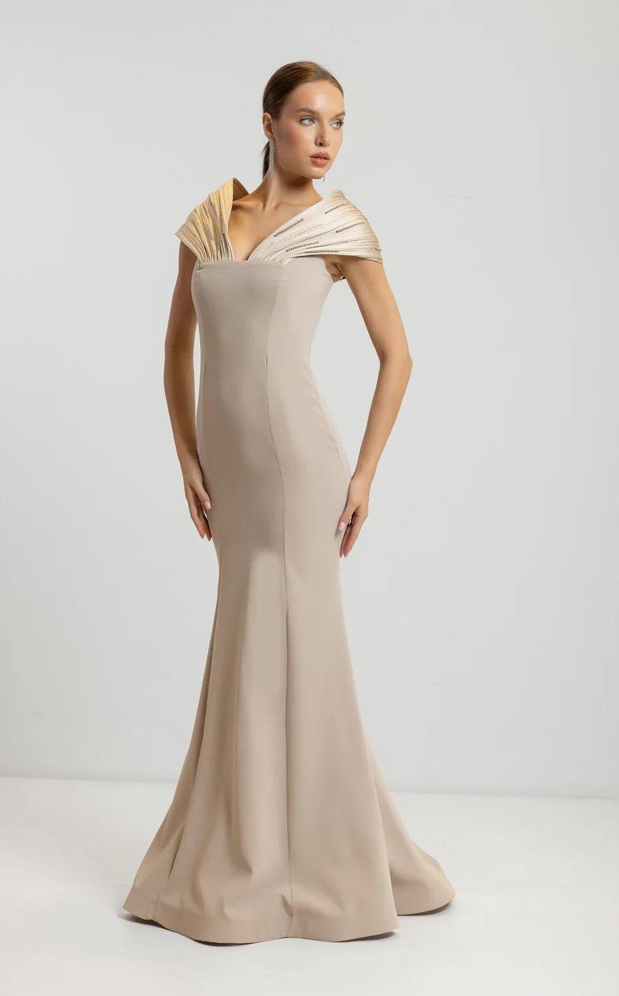Formal Dresses Long Mermaid Fit Formal Evening Dress Beige