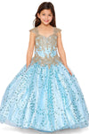 Flower Girl Dresses Flower Girl Beaded Applique Glitter Dress Blue