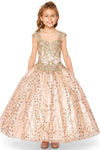 Flower Girl Dresses Flower Girl Beaded Applique Glitter Dress Rose Gold