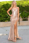 Prom Dresses Prom Long Fitted Sequin Formal Fringe Dress Blush