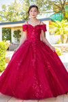 Flower Girl Dresses Flower Girl 3D Floral Applique Sequin Dress Red