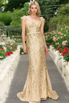 Prom Dresses Prom Long Glitter Applique Formal Dress Champagne