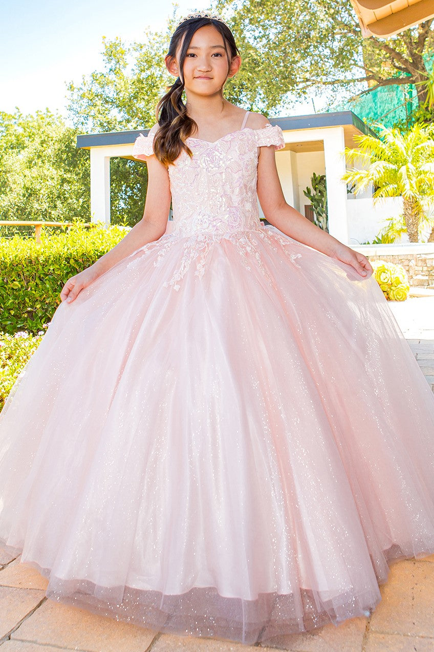 Flower Girl Dresses Long Ball Gown Sequin Flower Girl Dress Blush