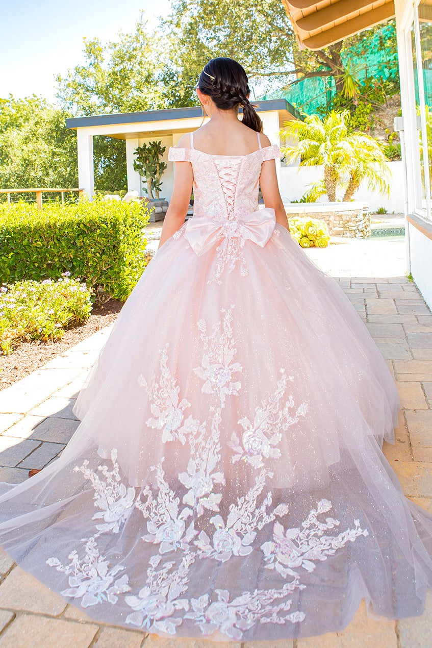 Flower Girl Dresses Long Ball Gown Sequin Flower Girl Dress Blush