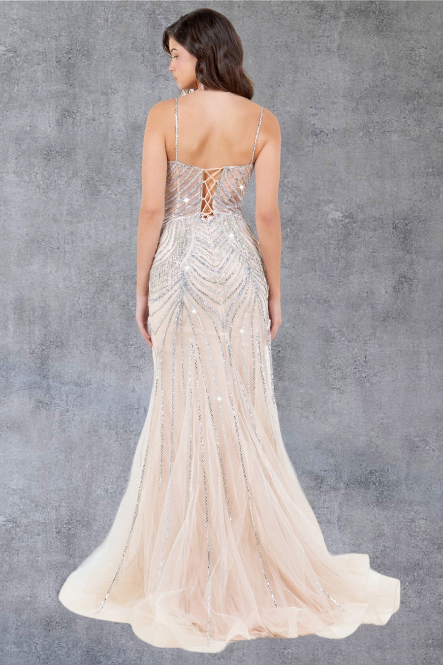 Prom Dresses Beaded Long Lace Formal Prom Dress Nude/Silver