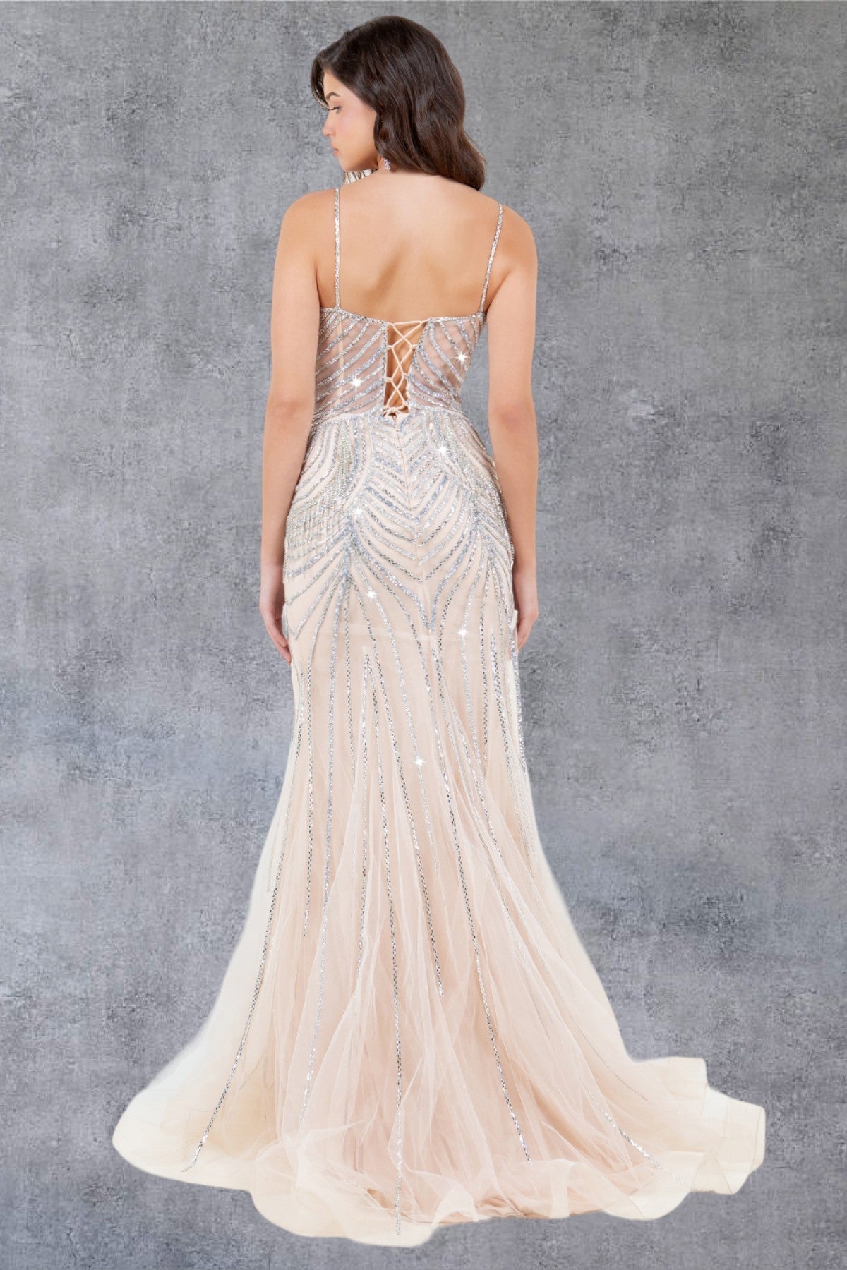 Prom Dresses Beaded Long Lace Formal Prom Dress Nude/Silver