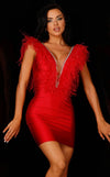 Cocktail Dresses Fitted Short Feather Cocktail Dress Red
