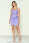 Cocktail Dresses Short Fitted Lace Corset Cocktail Dress Lavender