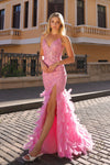 Prom Dresses Long Prom Feathered Dress Baby Pink