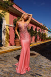 Prom Dresses Formal Fitted Prom Long Dress Apricot Rose
