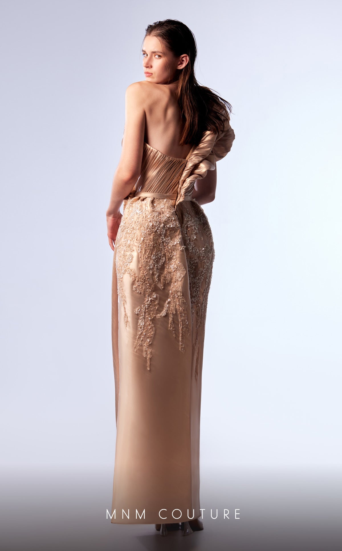 Formal Dresses Long Formal Beaded Applique Metallic Dress Beige