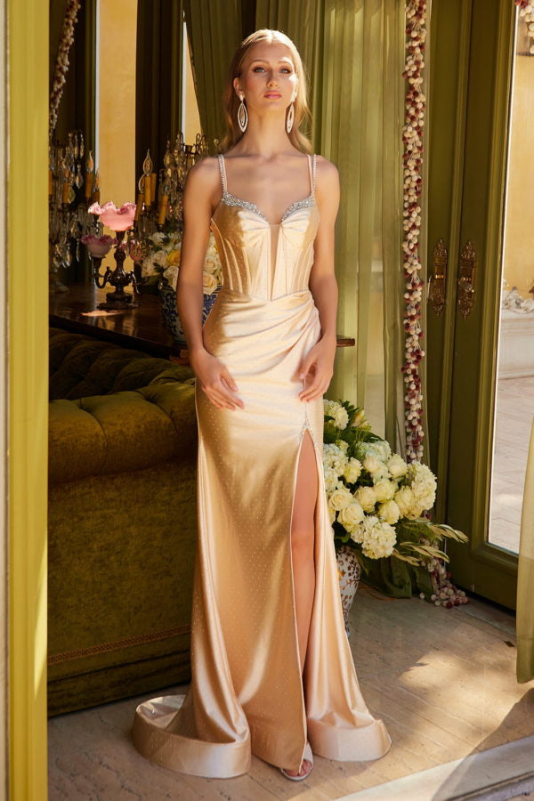 Prom Dresses Prom Long Fitted Sequin Formal Dress Gold