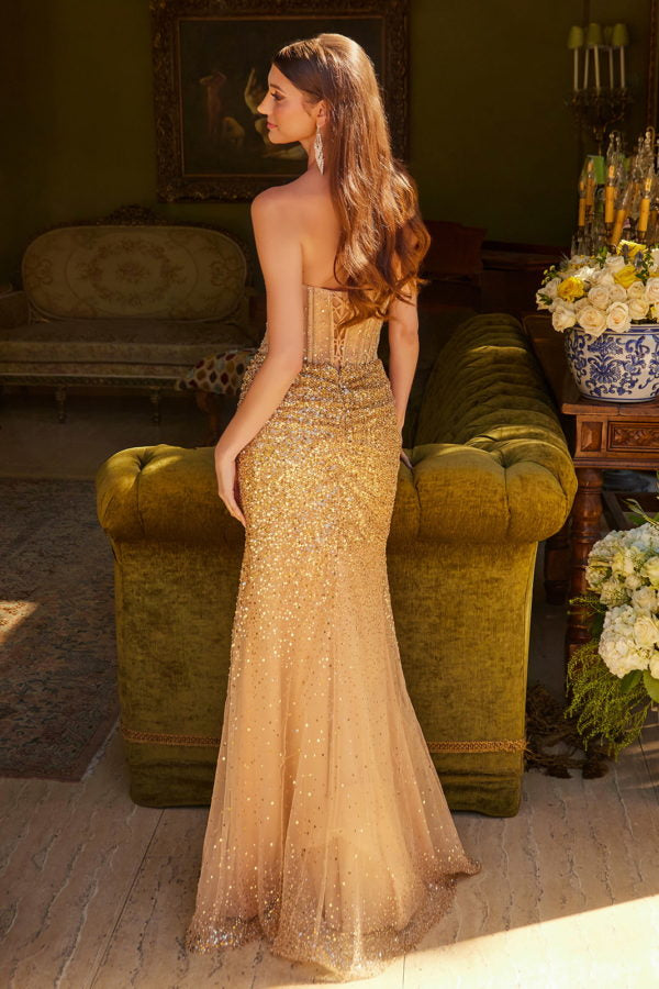Prom Dresses Prom Sequin Formal Fitted Corset Long Dress Gold