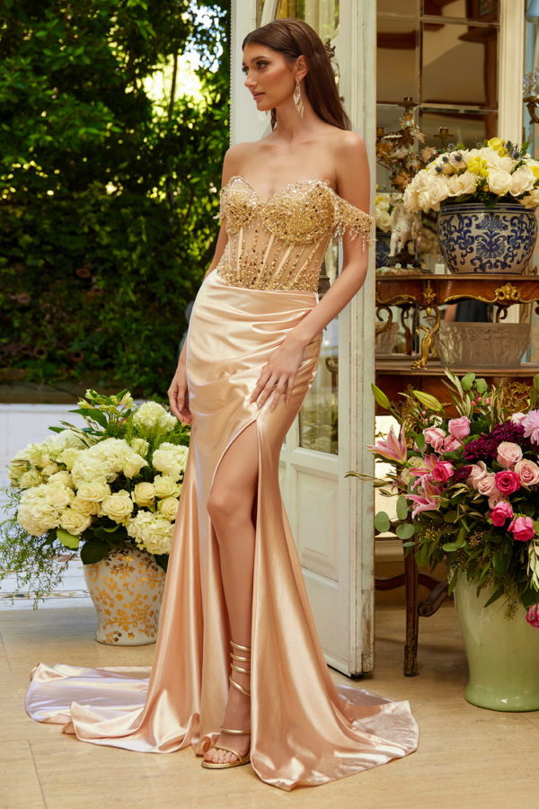 Prom Dresses Sequin Long Fitted Formal Fringe Prom Dress Champagne