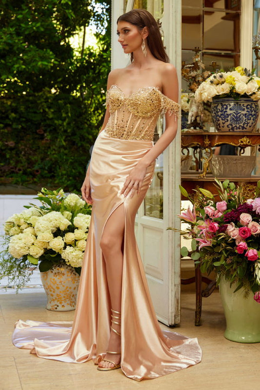 Prom Dresses Sequin Long Fitted Formal Fringe Prom Dress Champagne