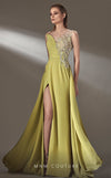 Formal Dresses Pleated A Line Long Formal Beaded Applique Prom Dress Pistache