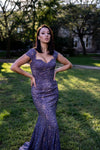 Formal Dresses Fitted Lace Long Formal Mermaid Evening Dress Dusty Purple