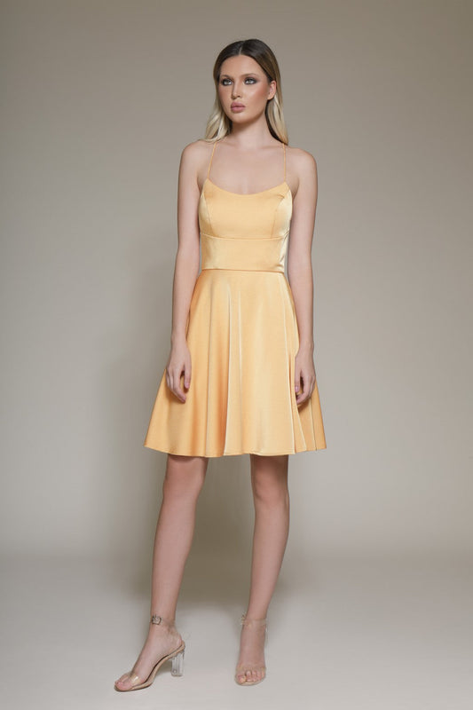 Cocktail Dresses Homecoming Short Cocktail A Line Dress Canary