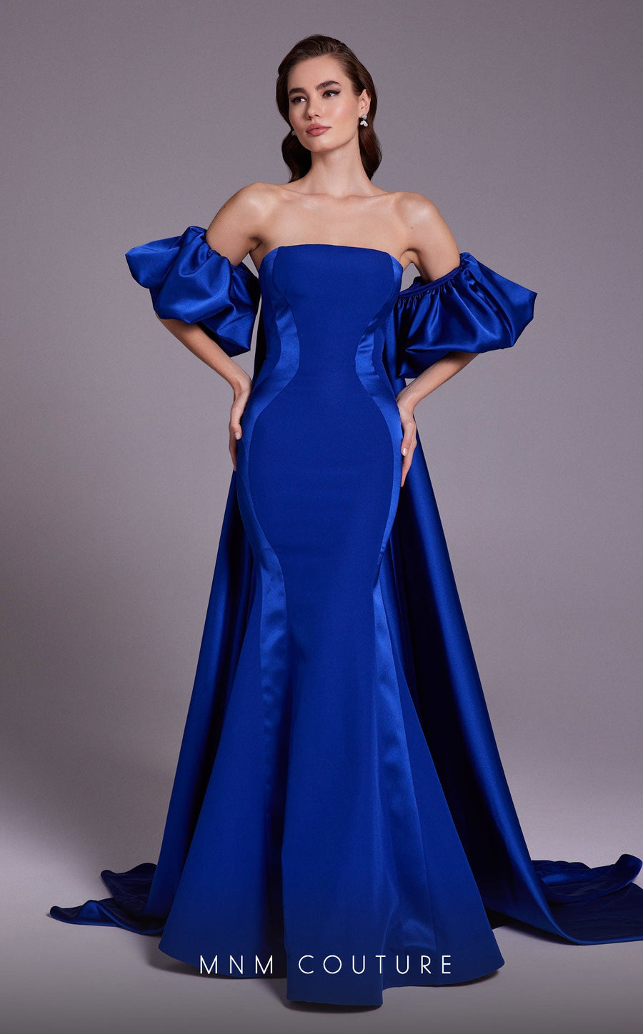 Formal Dresses Long Fitted Overskirt Mermaid Formal Dress Blue
