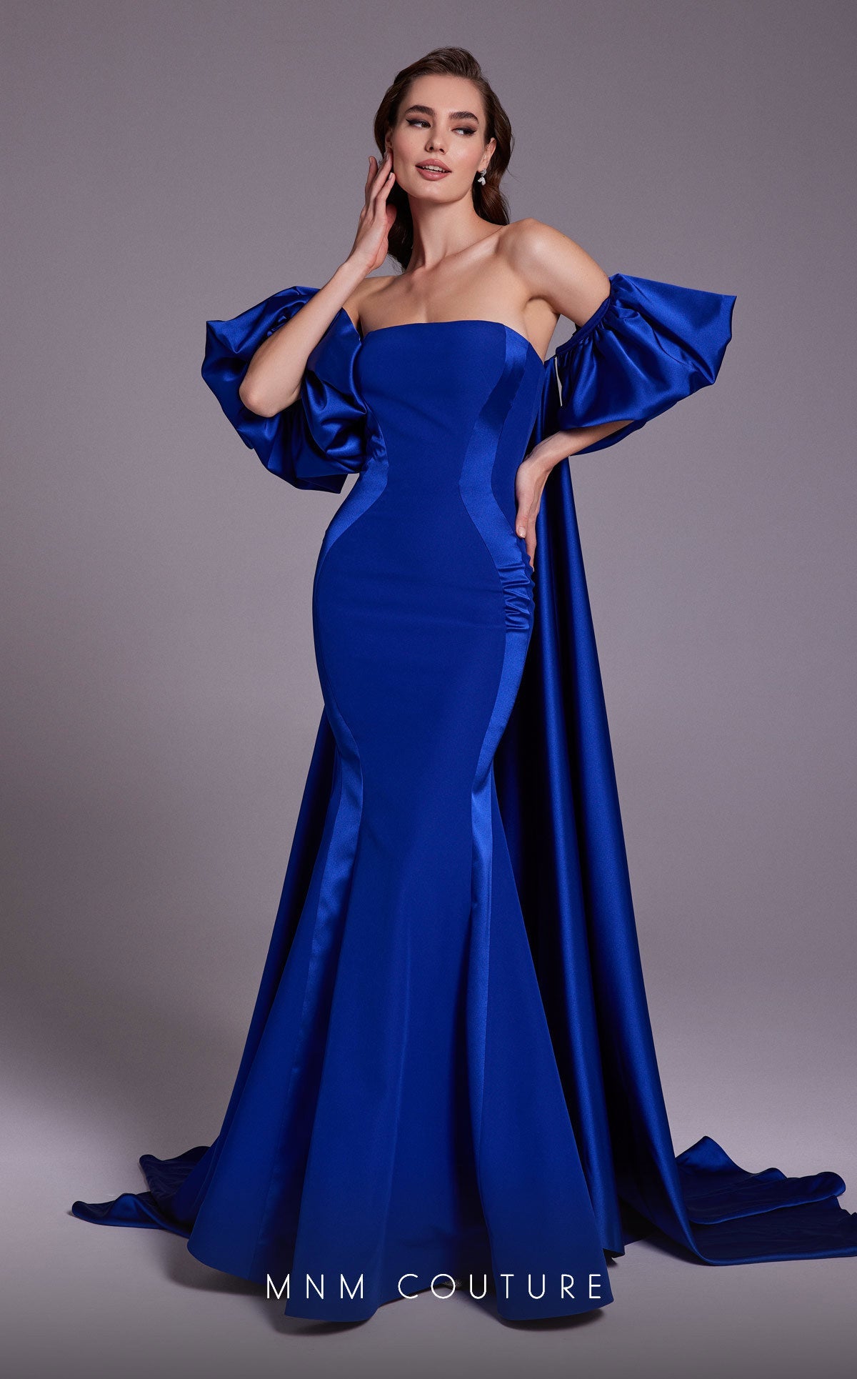 Formal Dresses Long Fitted Overskirt Mermaid Formal Dress Blue