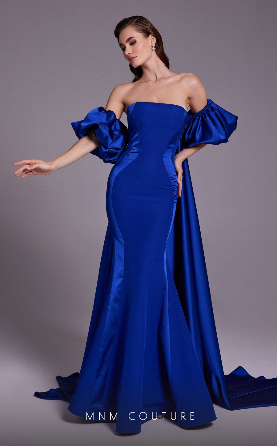 Formal Dresses Long Fitted Overskirt Mermaid Formal Dress Blue