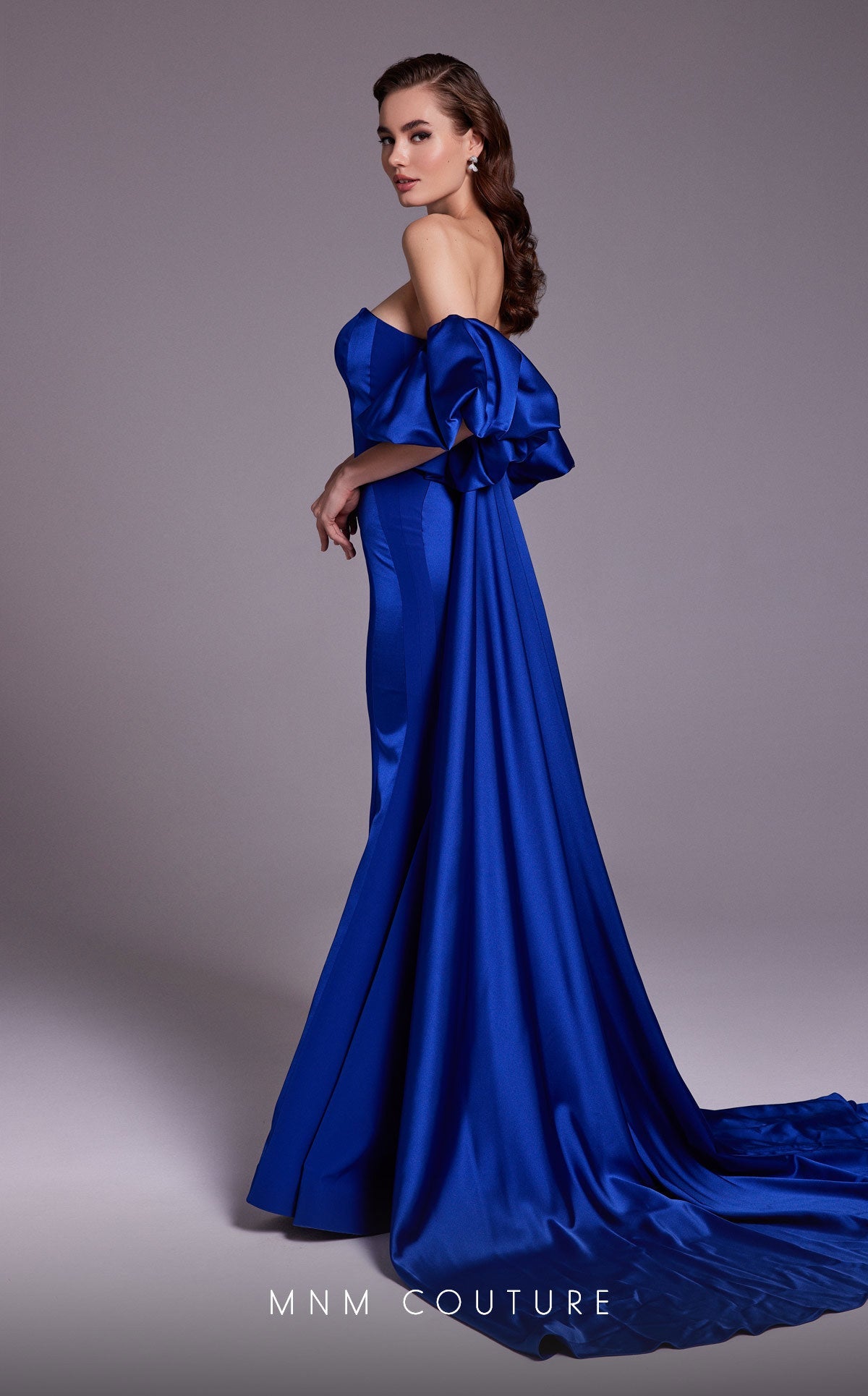 Formal Dresses Long Fitted Overskirt Mermaid Formal Dress Blue