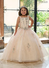 Flower Girl Dresses Glitter Flower Girl Dress with Detachable Sleeves Blush Champagne