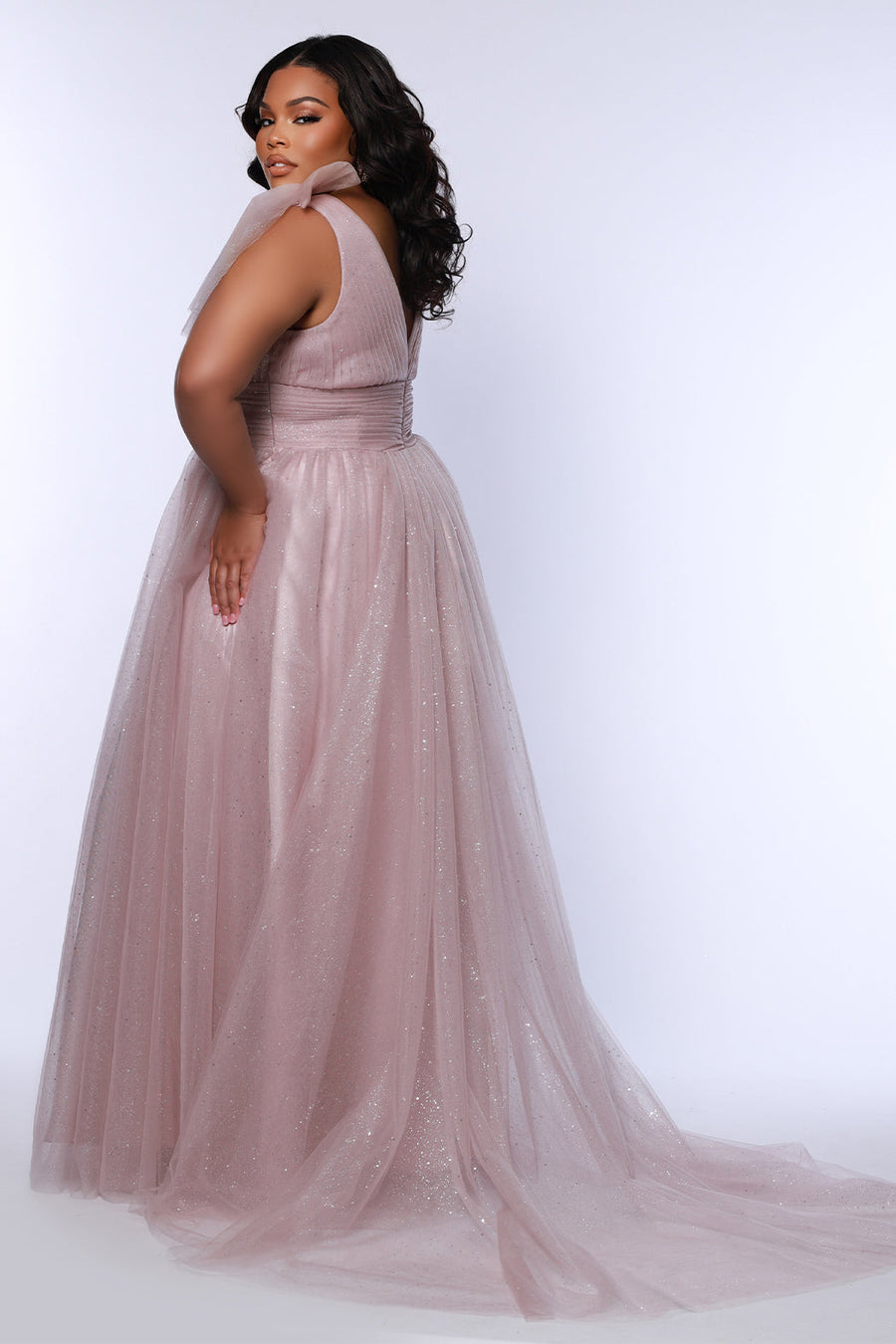 Plus Size Dresses Long Pleated A Line Plus Size Prom Dress Mauve