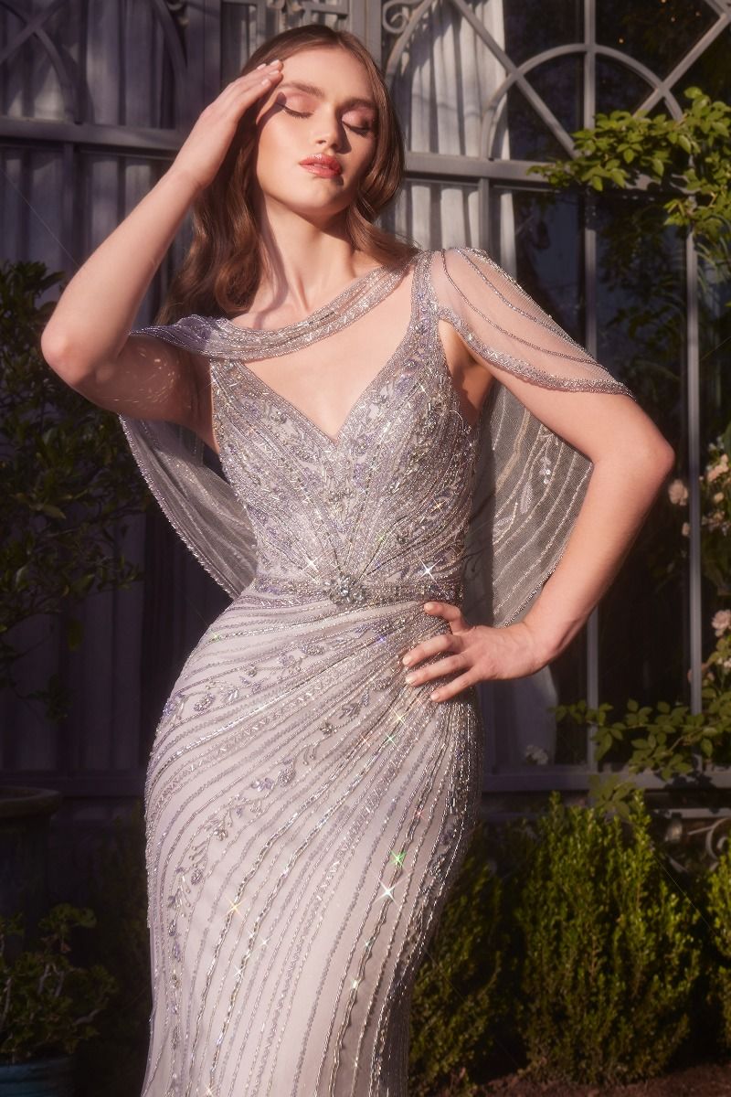 Prom Dresses Fitted Long Formal Beaded Prom Dress Silver