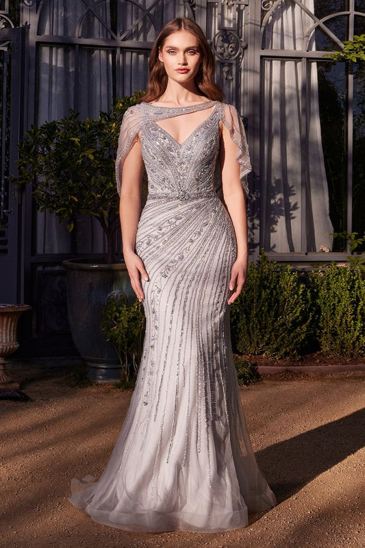 Prom Dresses Fitted Long Formal Beaded Prom Dress Silver