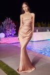 Prom Dresses Fitted Long Evening Gown Rose Gold