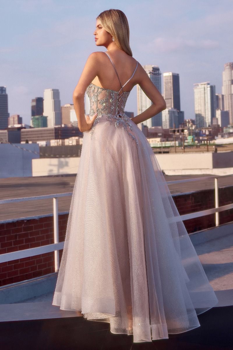 Prom Dresses Long Formal Glitter A Line Prom Dress Silver Nude