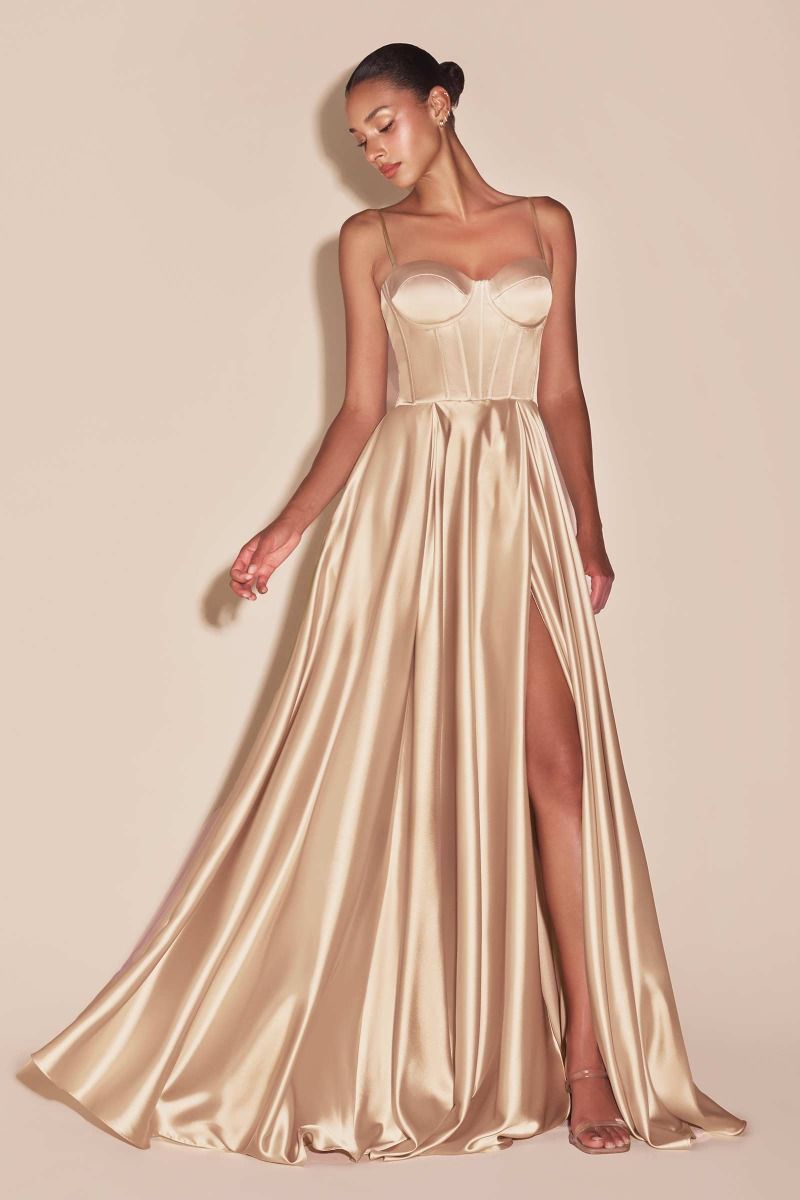 Prom Dresses Formal A Line Prom Long Dress Champagne
