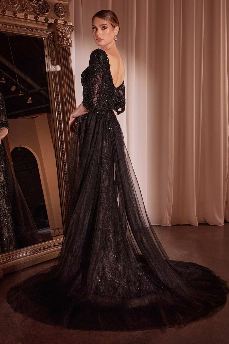 Formal Dresses Fitted Long Formal Applique Overskirt Evening Dress Black Nude