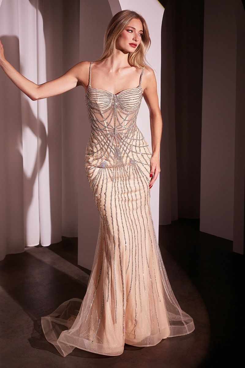 Prom Dresses Beaded Long Formal Prom Dress Silver Nude
