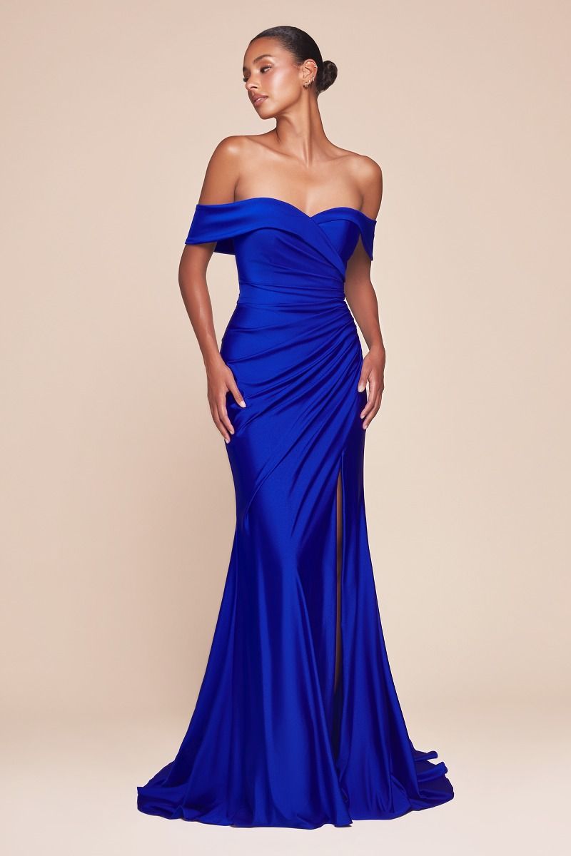Prom Dresses Long Formal Prom Pleated Dress Royal
