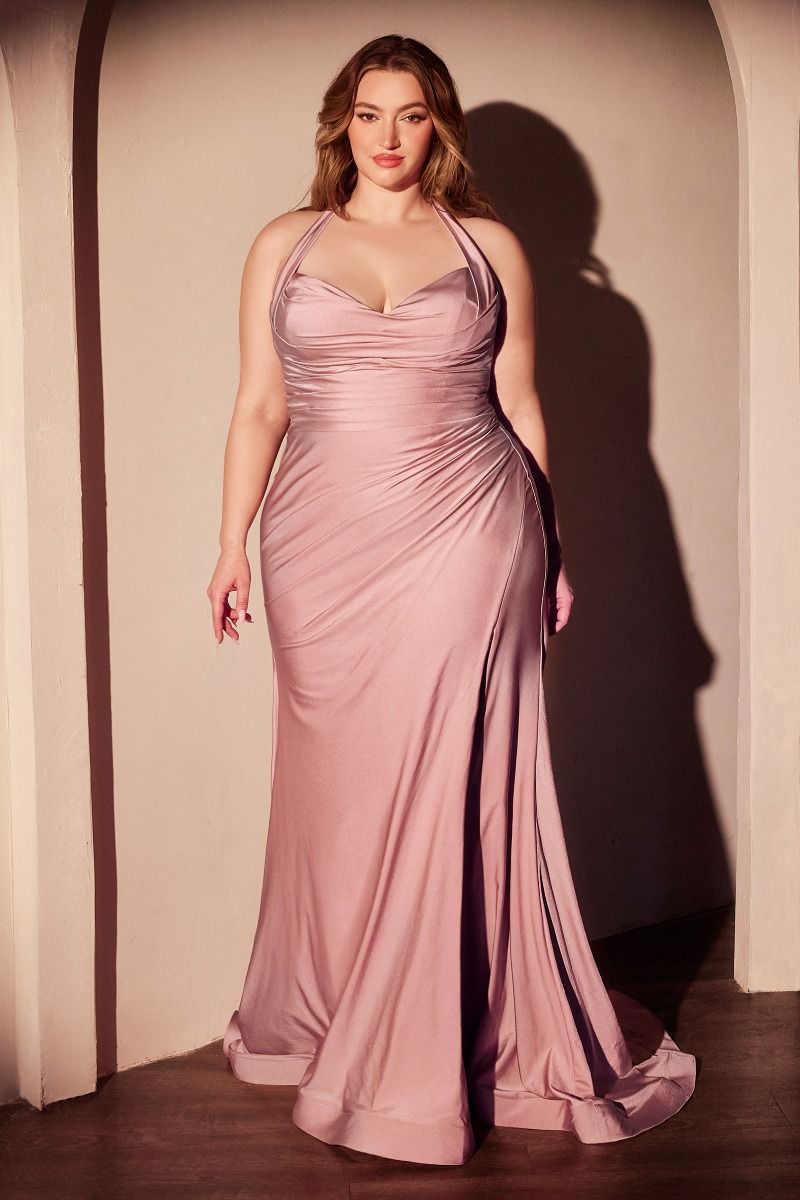 Plus Size Dresses Plus Size Long Formal Fitted Prom Dress Dusty Rose