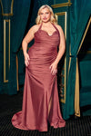 Plus Size Dresses Plus Size Long Formal Fitted Prom Dress Sienna Rose