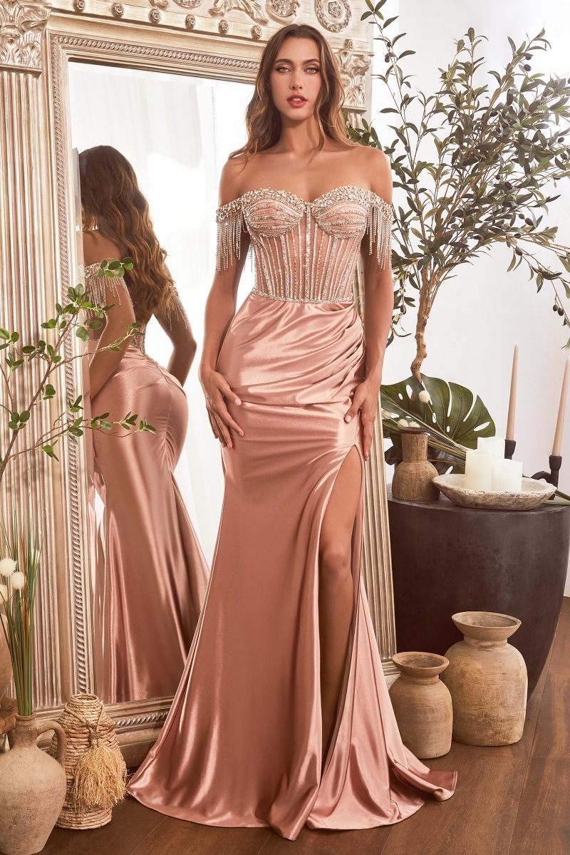 Prom Dresses Prom Formal Long Fringe Dress Rose Gold