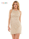 Colors Homecoming Short Halter Cocktail Dress 2811 - The Dress Outlet