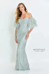 Formal Dresses Fitted Long Formal Detachable Feather Sleeves Evening Dress Light Sage
