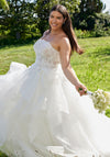 Wedding Dresses Plus Size Long Ball Gown Lace Wedding Dress Ivory/Ivory/Honey